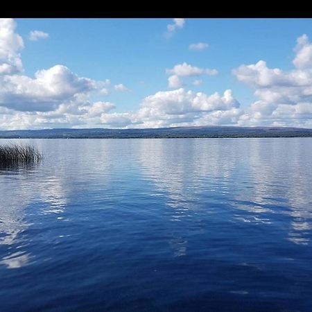 Stunning Log Cabin On The Lake Villa Portroe Exteriör bild