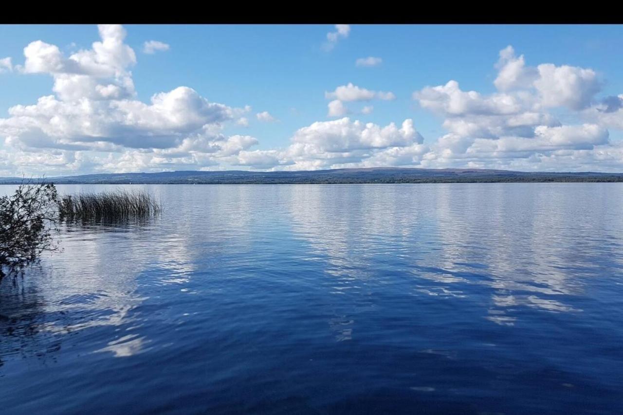 Stunning Log Cabin On The Lake Villa Portroe Exteriör bild